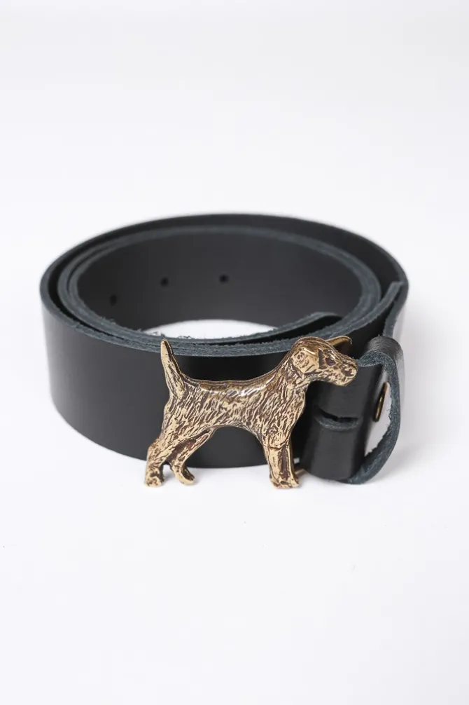Hebilla dorado de perro