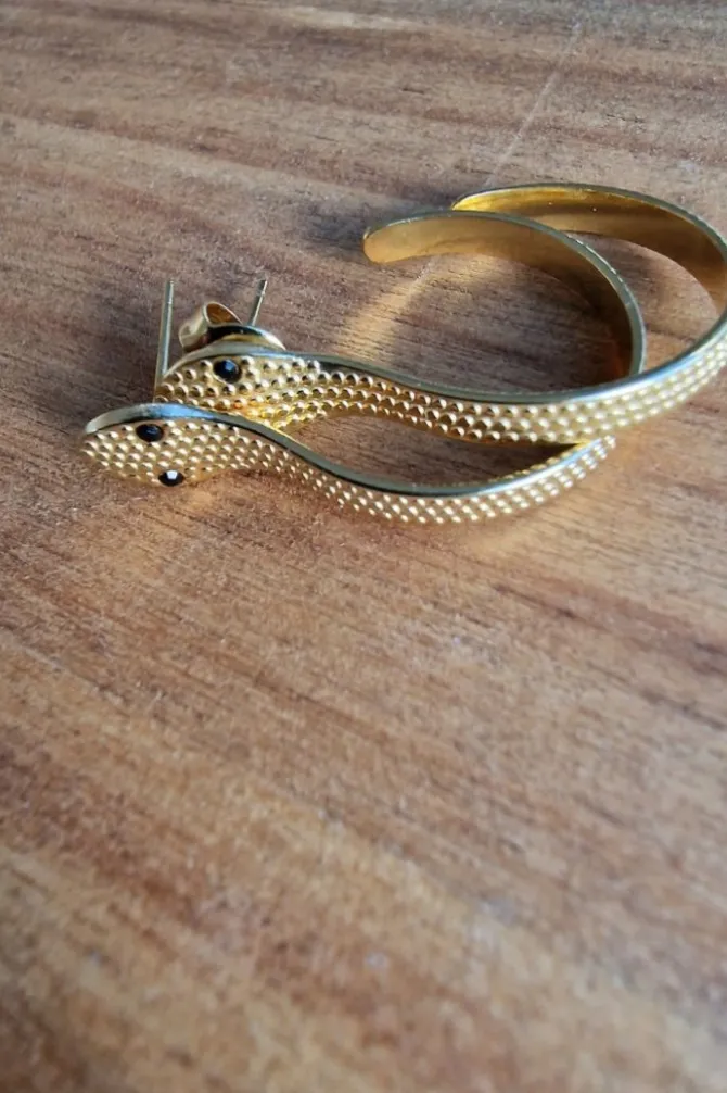 Pendiente de serpiente